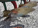 IMG_4925.webp