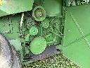IMG_5206.webp
